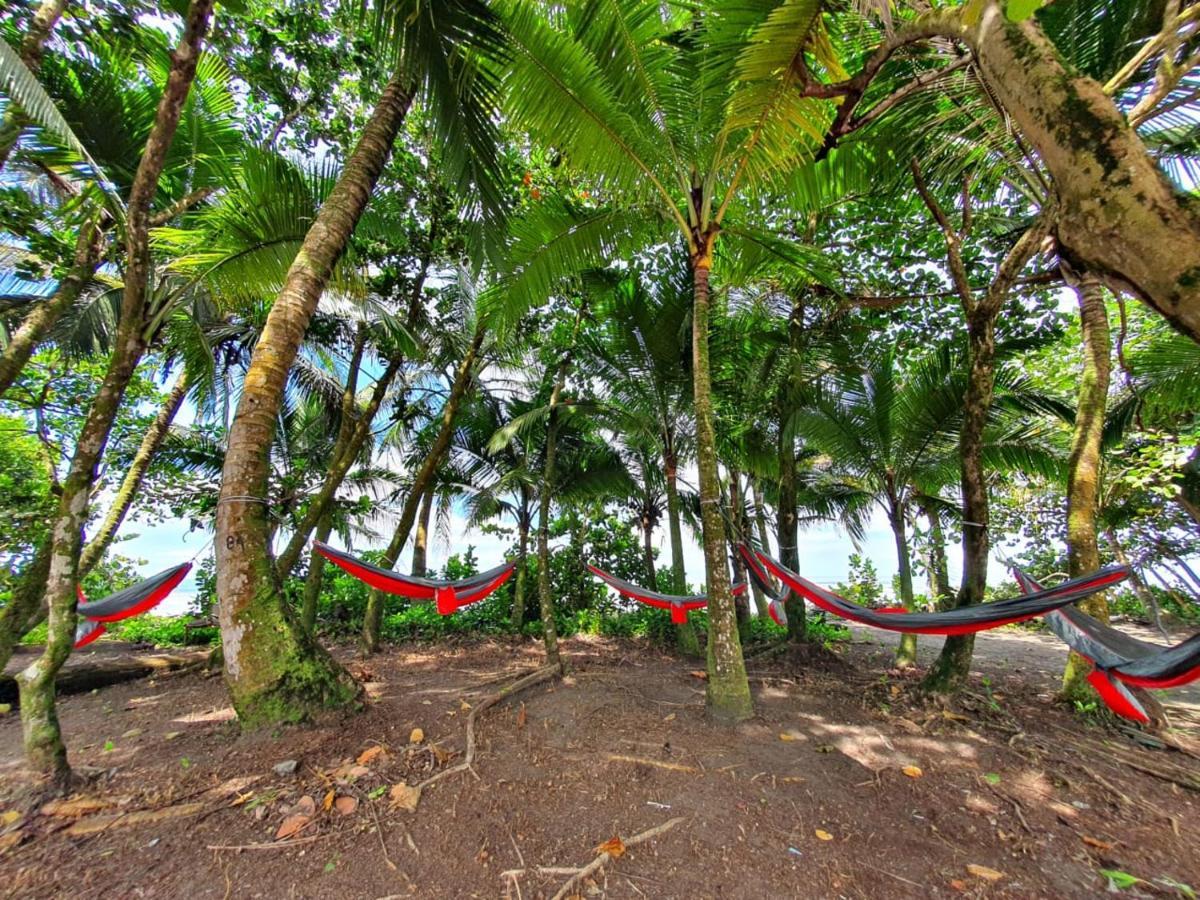 Апартаменты Caribbean View Тортугеро Экстерьер фото