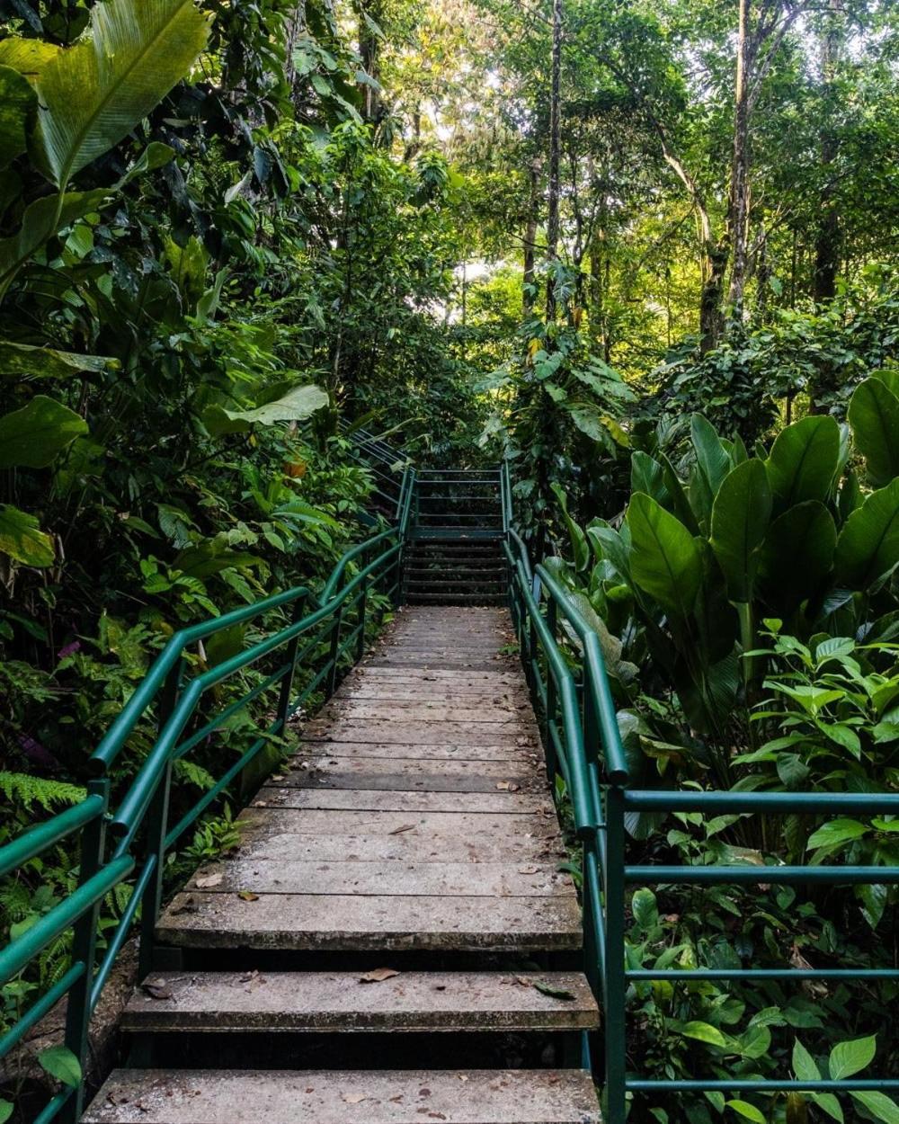 Апартаменты Caribbean View Тортугеро Экстерьер фото